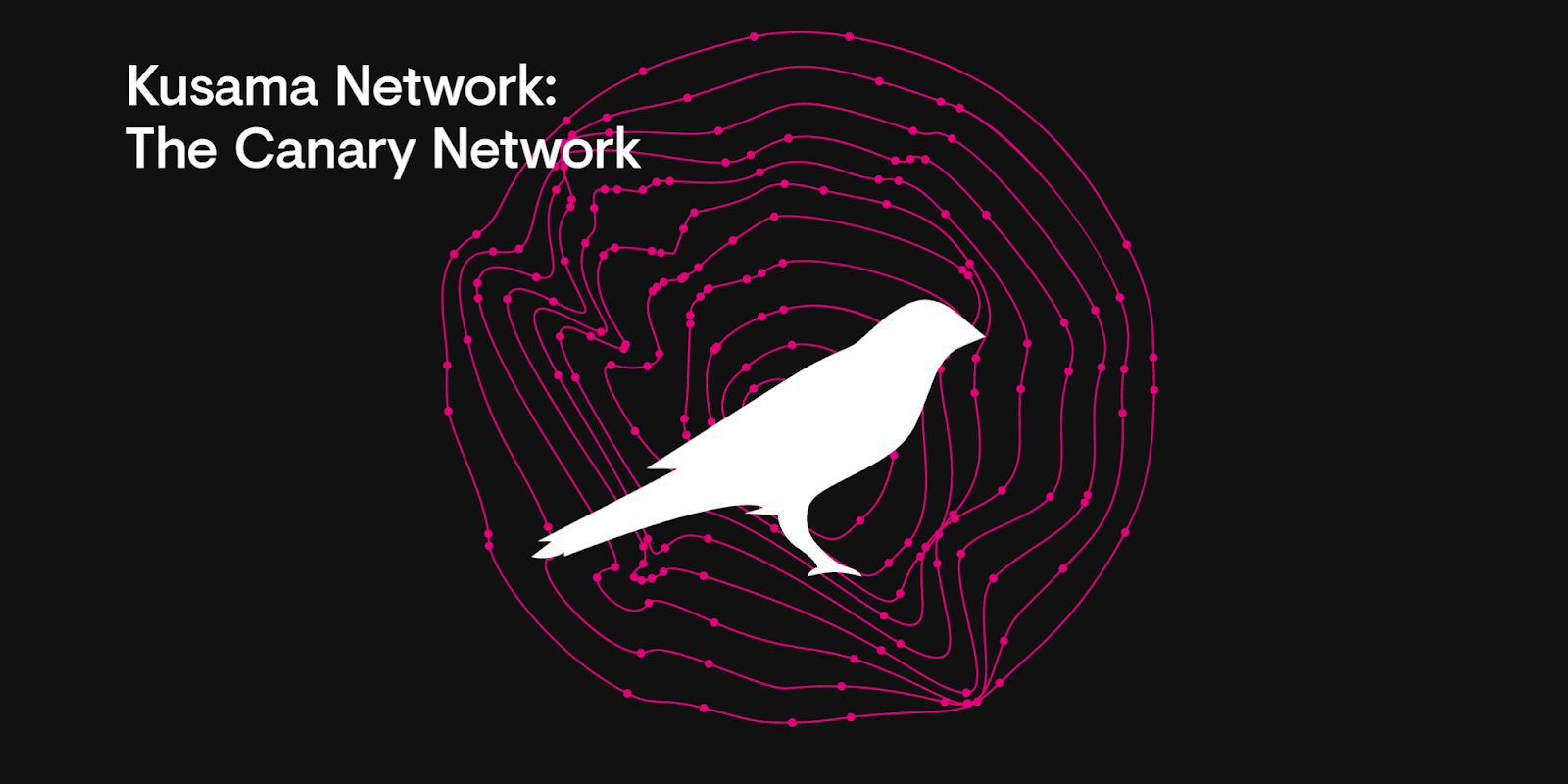Kusama network logo